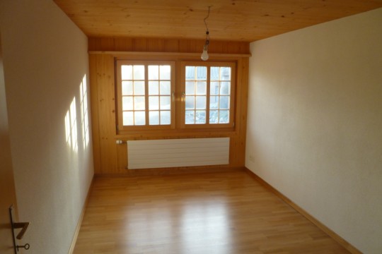 Buchi 2011 004.jpg